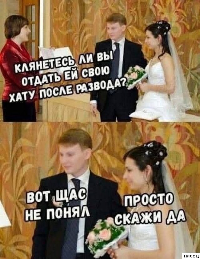 Смехотерапия Писца. Жмём лайк!