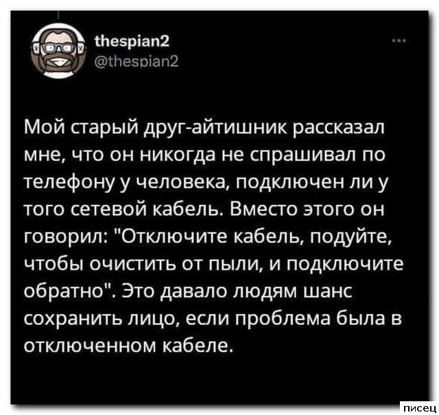 Актуальные цитаты дня. Шикардос!