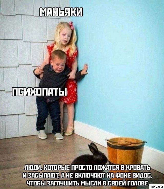 Смехотерапия Писца. Жмите лайк!