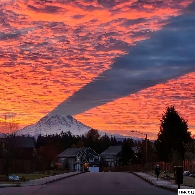 На эти кадры невозможно смотреть равнодушно. Согласны?