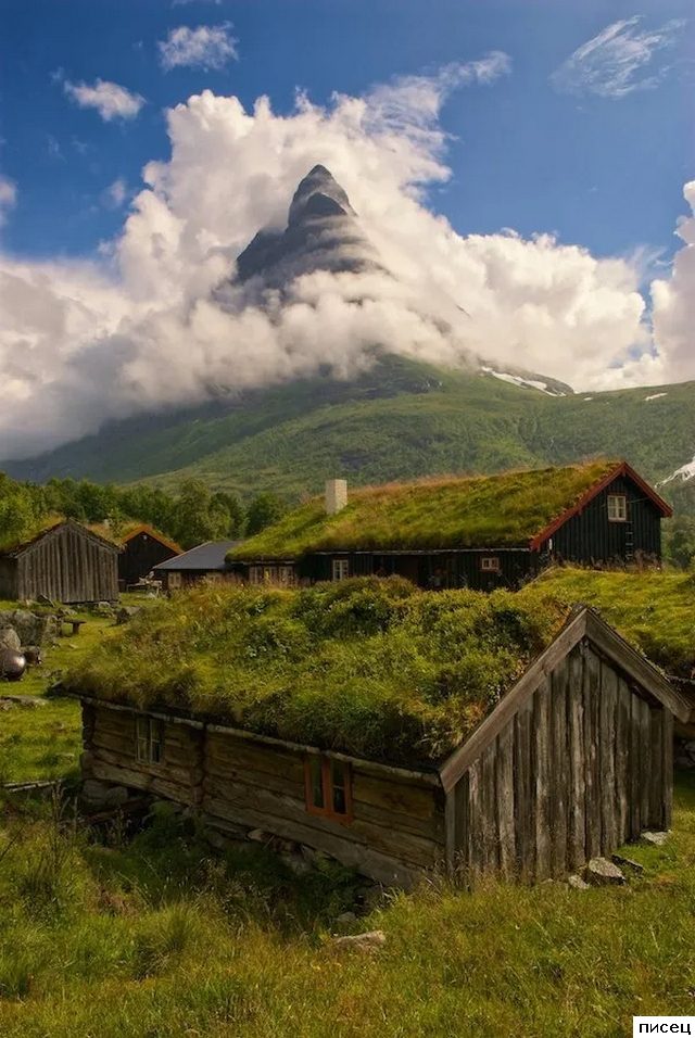 На эти кадры невозможно смотреть равнодушно. Согласны?