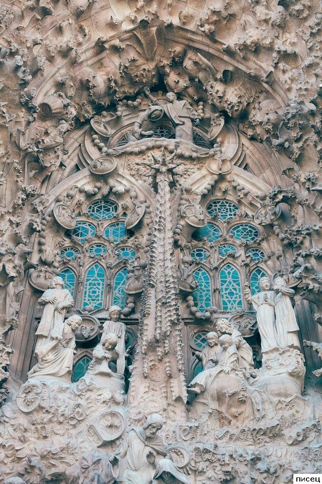 На эти кадры невозможно смотреть равнодушно. Согласны?