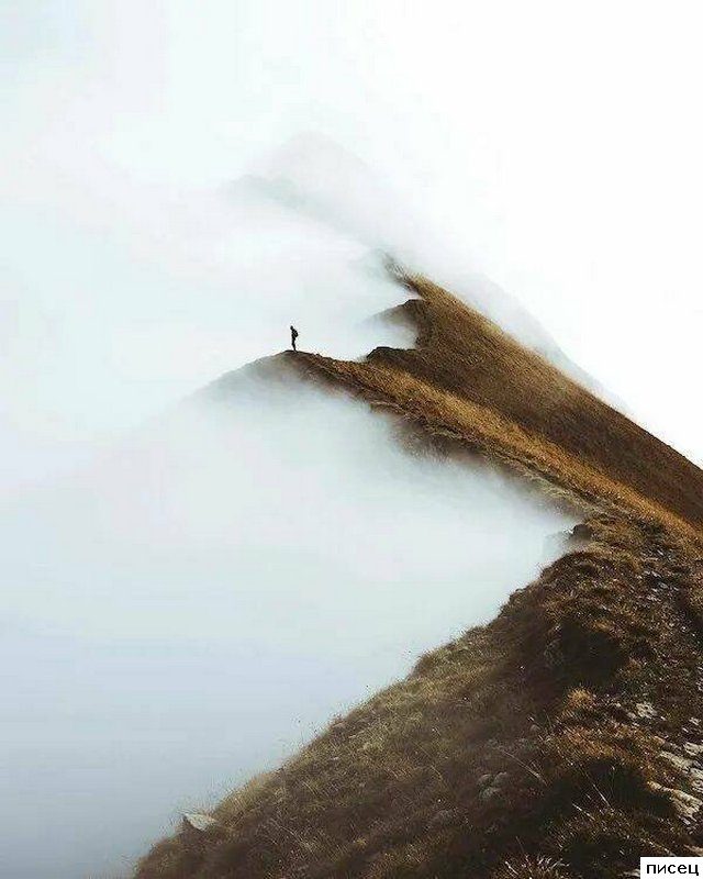 На эти кадры невозможно смотреть равнодушно. Согласны?