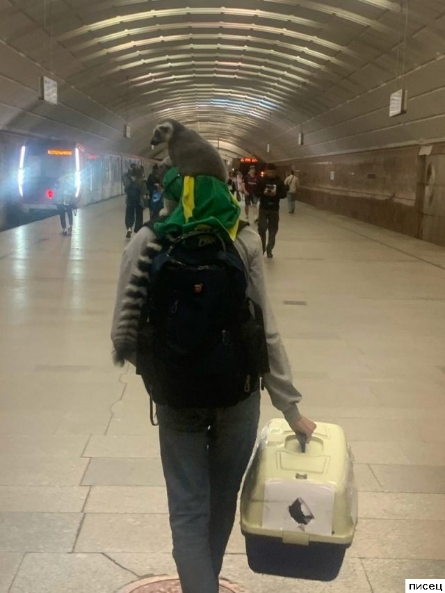 Ох ты! Такое не забыть!