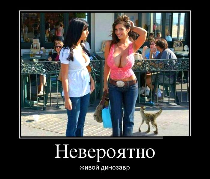 Весёлая порция Демотиваторов