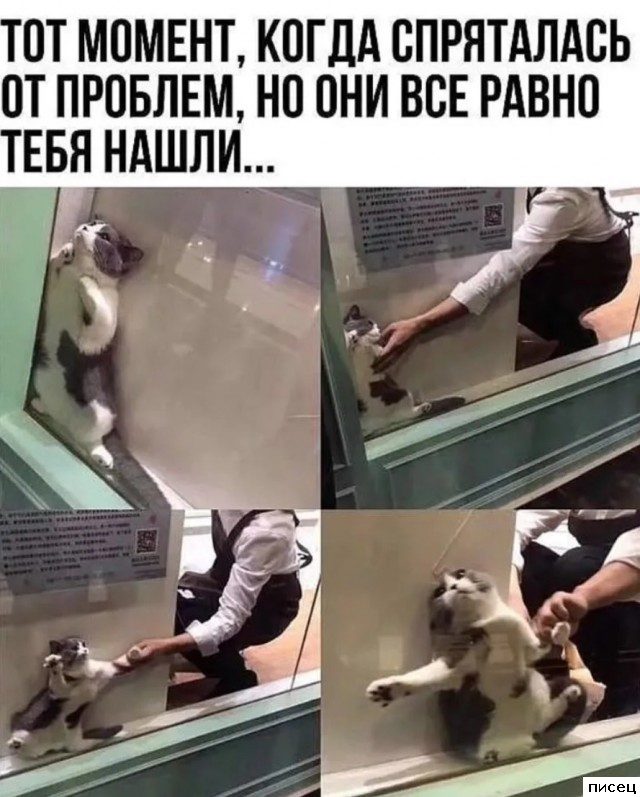 Все приколы Мая. Великолепно!
