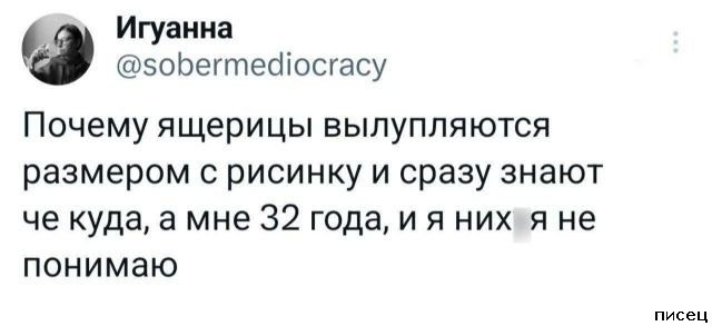 25 майских приколов из соцсетей. Отлично!