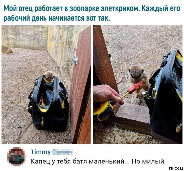 25 майских приколов из соцсетей. Отлично!