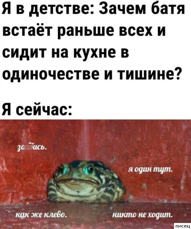 Мужские приколы. Как же я их люблю!