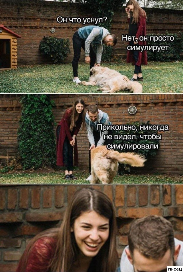 Все приколы интернета. Мне нравится!
