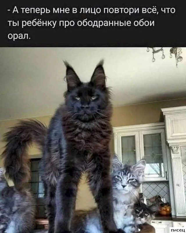 Все приколы интернета. Мне нравится!