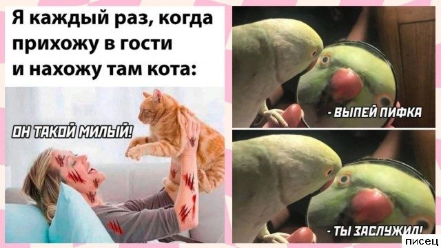 Все приколы Мая. Праздник каждый день!