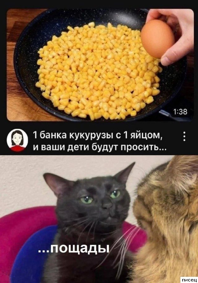 Все приколы Мая. Праздник каждый день!