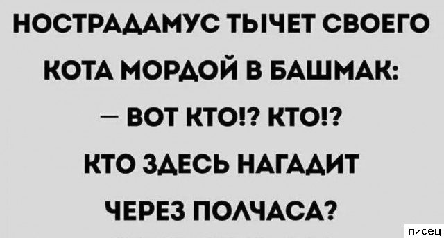 Все приколы Мая. Праздник каждый день!