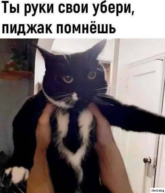 Все приколы Мая. Праздник каждый день!
