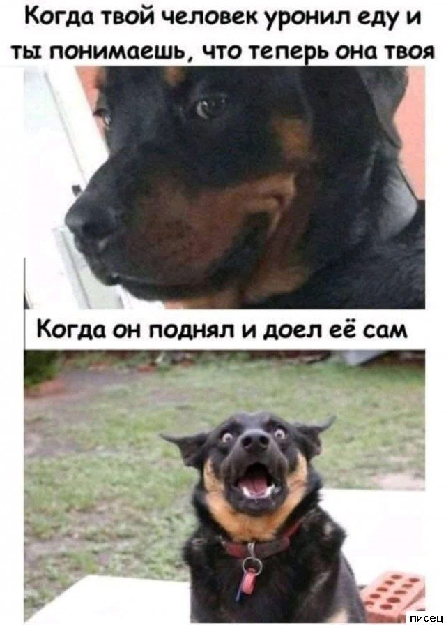 Прикольчики в стиле «Когда...»