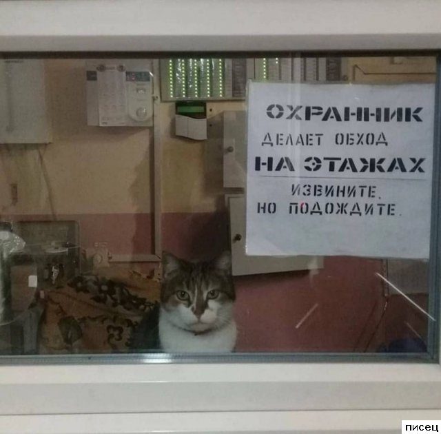 Убойная коллекция снимков, где каждое фото - Народный хит!
