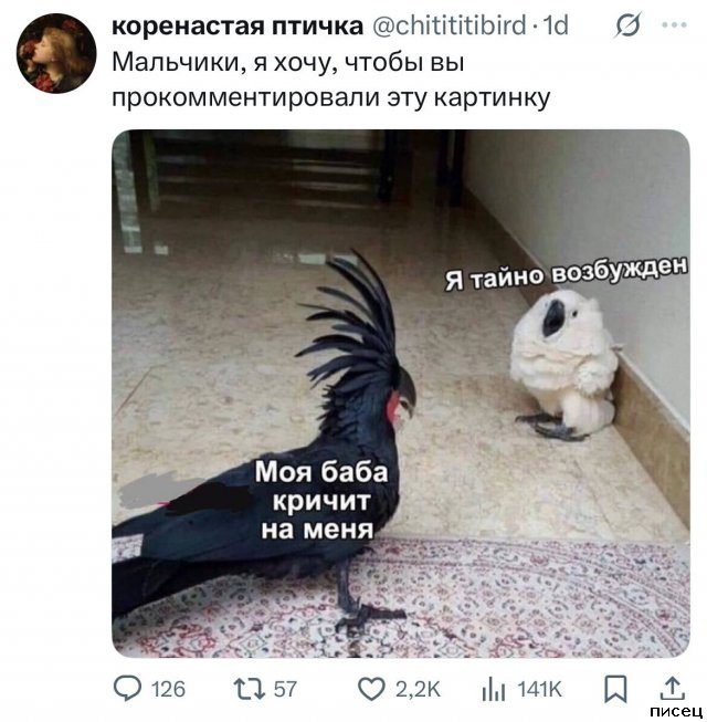 25 майских приколов из соцсетей. Великолепно!
