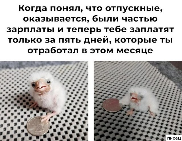 Прикольчики в стиле «Когда...»