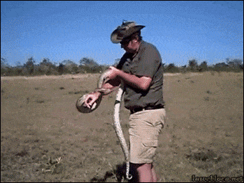 Блин, вот это везунчики!