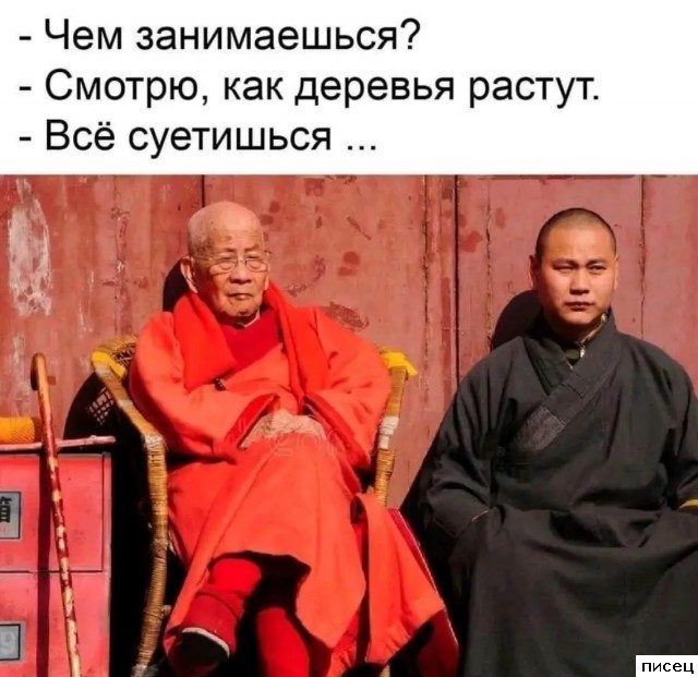 Все приколы Мая. Праздник каждый день!
