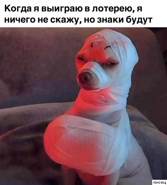 Прикольчики в стиле «Когда...». Класс!