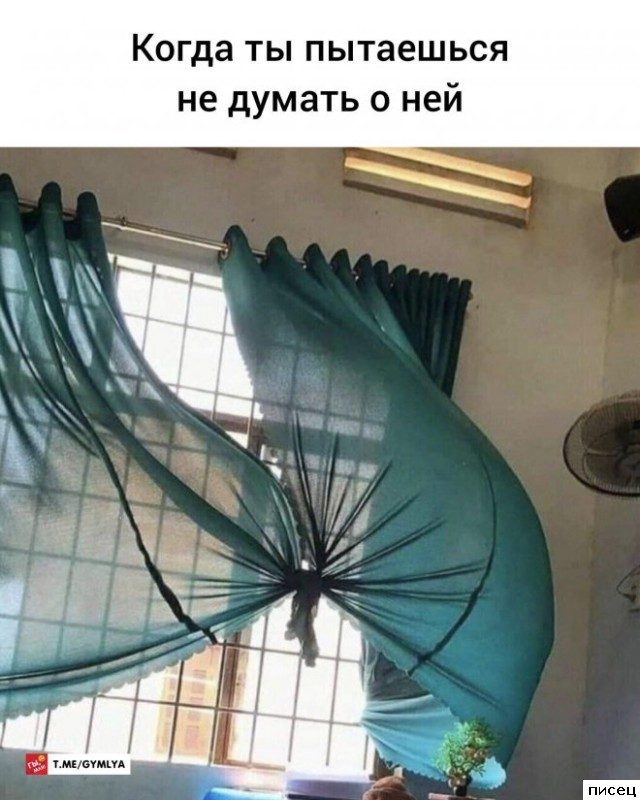 Прикольчики в стиле «Когда...». Класс!