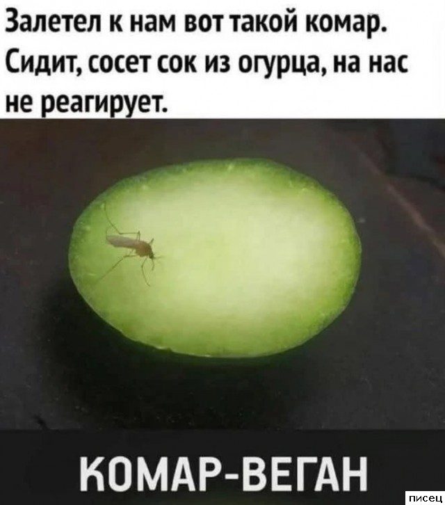 Смехотерапия Писца. 100% хиты!