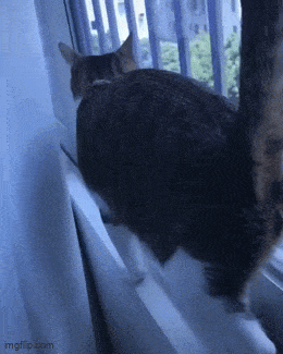 Анимированные приколы. Мне нравится!