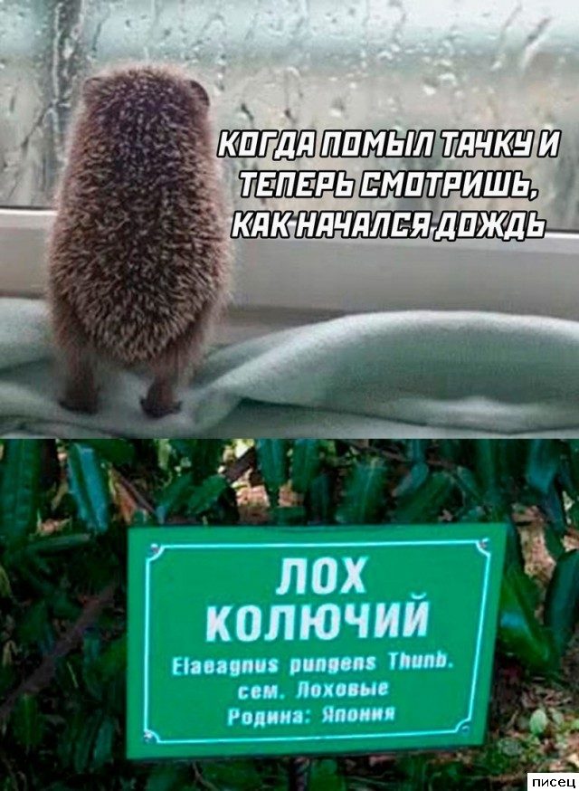 Прикольчики в стиле «Когда...». Класс!