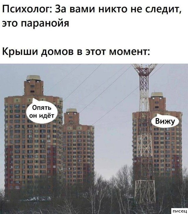 100%, когда кажется — креститься надо!