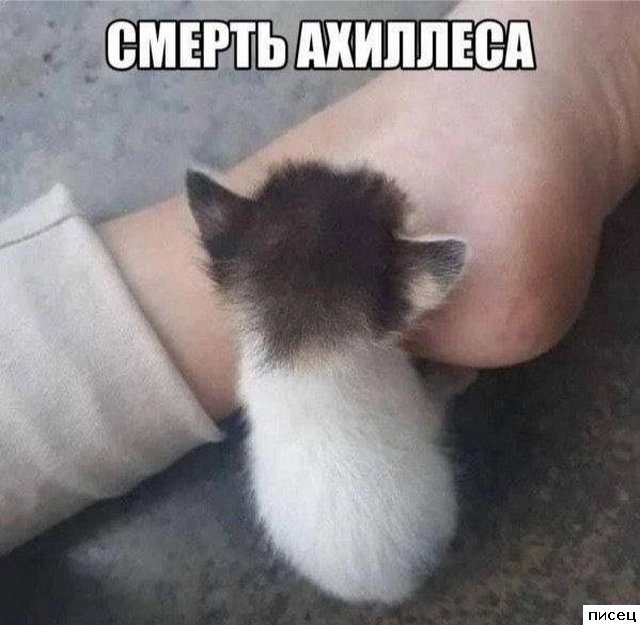 Смехотерапия Писца. 100% хиты!