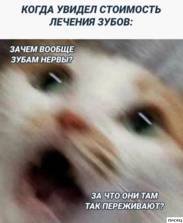 Прикольчики в стиле «Когда...». Супер!