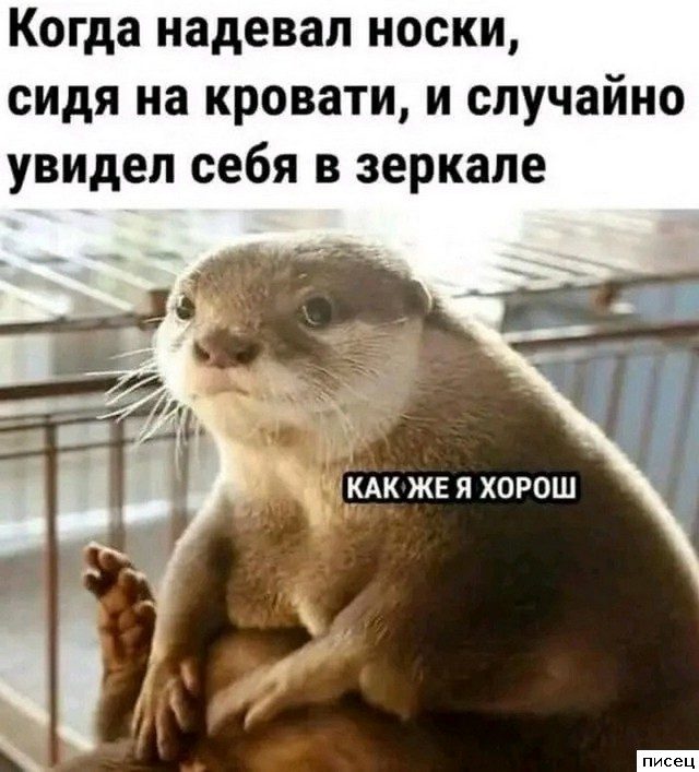Прикольчики в стиле «Когда...». Супер!