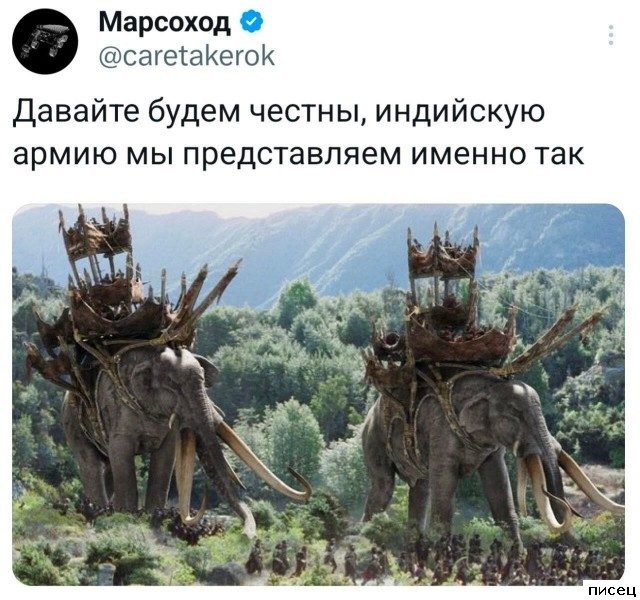 25 майских приколов из социальных сетей