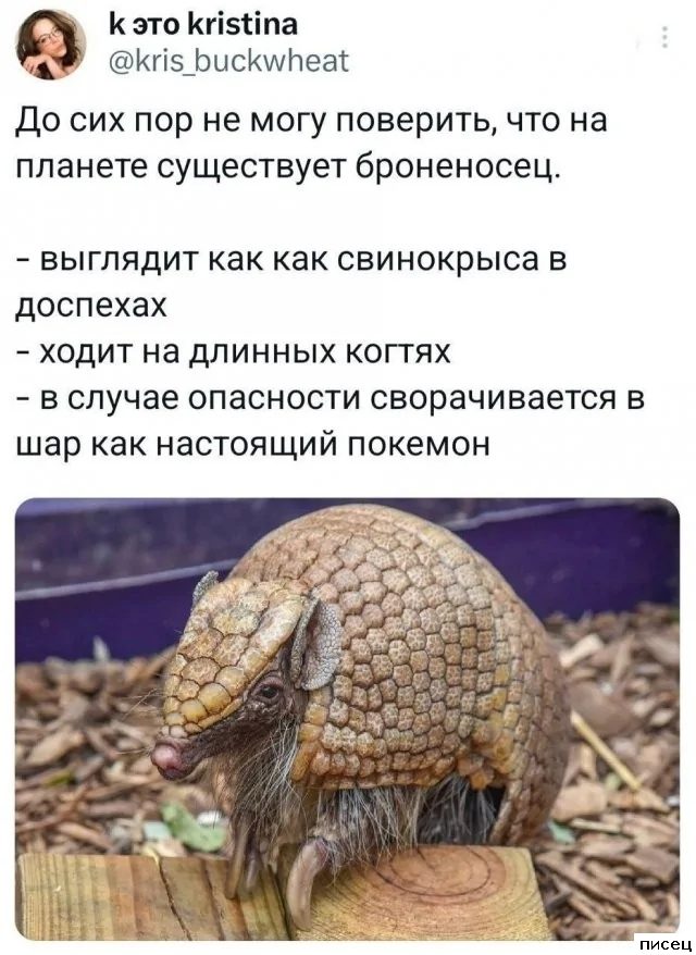 Приколы из соцсетей. Ржунимагу!