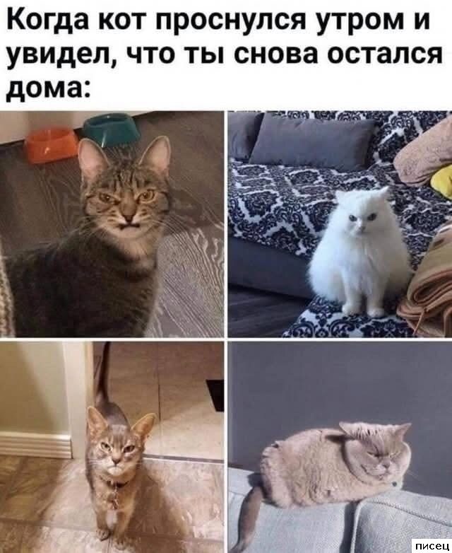 Прикольчики в стиле «Когда...». Кайф!