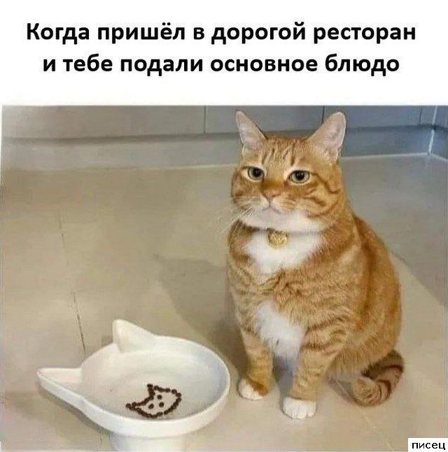 Прикольчики в стиле «Когда...». Кайф!