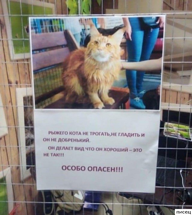 18 ярких примеров, когда &quot;кратко, чётко и понятно&quot;