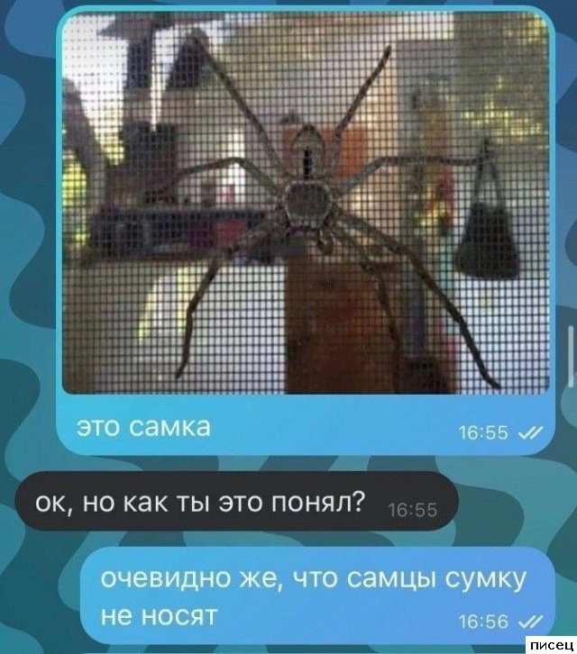 Сборник шикарных SMS, которые доставят вам незабываемое удовольствие