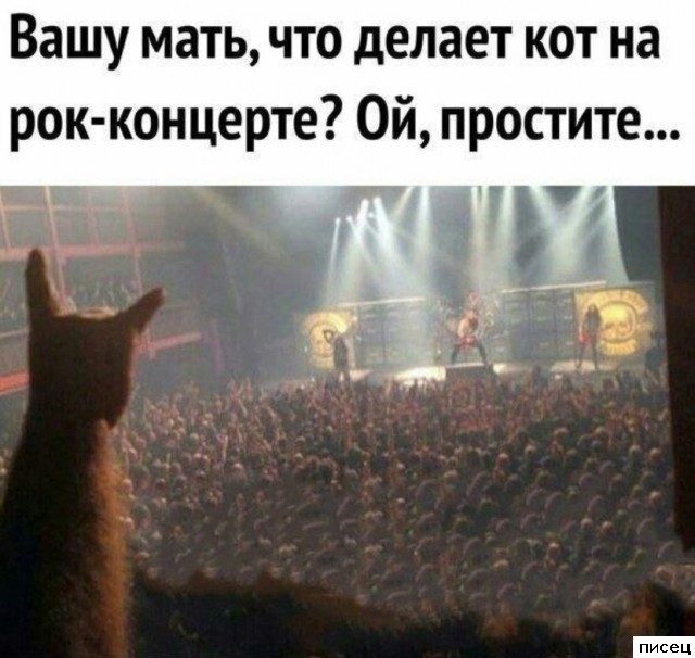Все приколы Июня