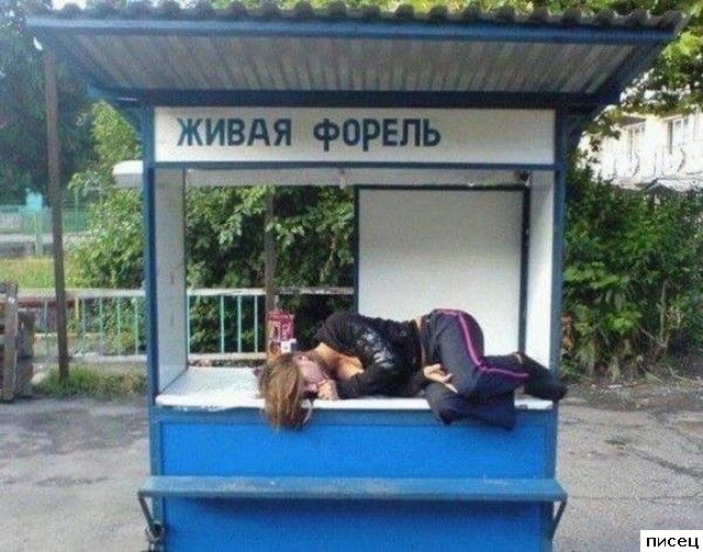 Все приколы про пьяных женщин