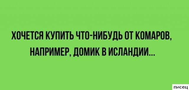 Все прикольные цитаты