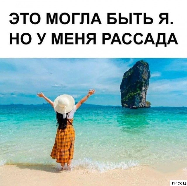 Все дачные приколы