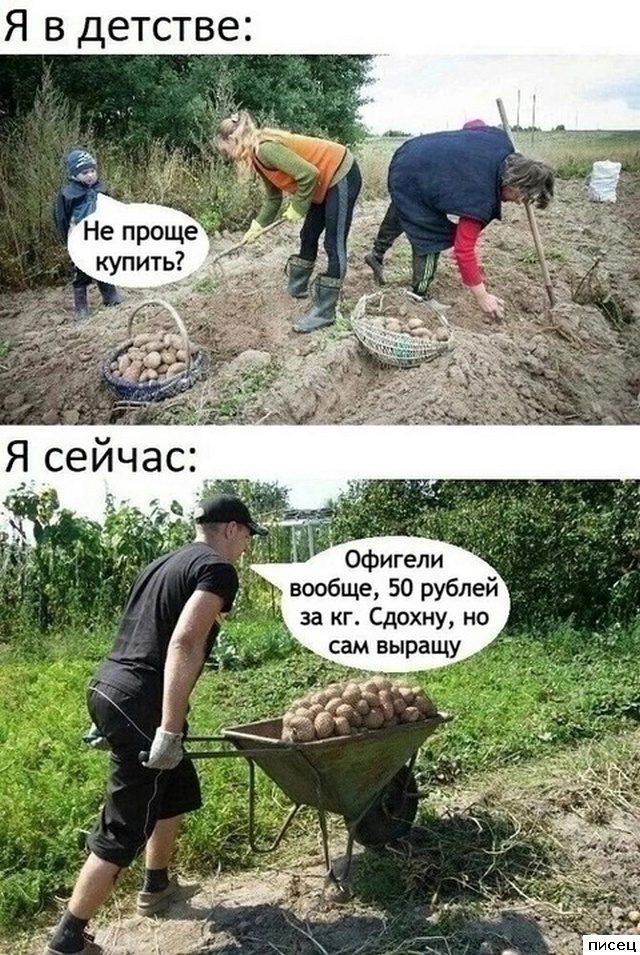 Все дачные приколы