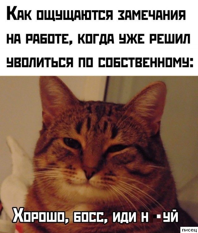 Все рабочие приколы