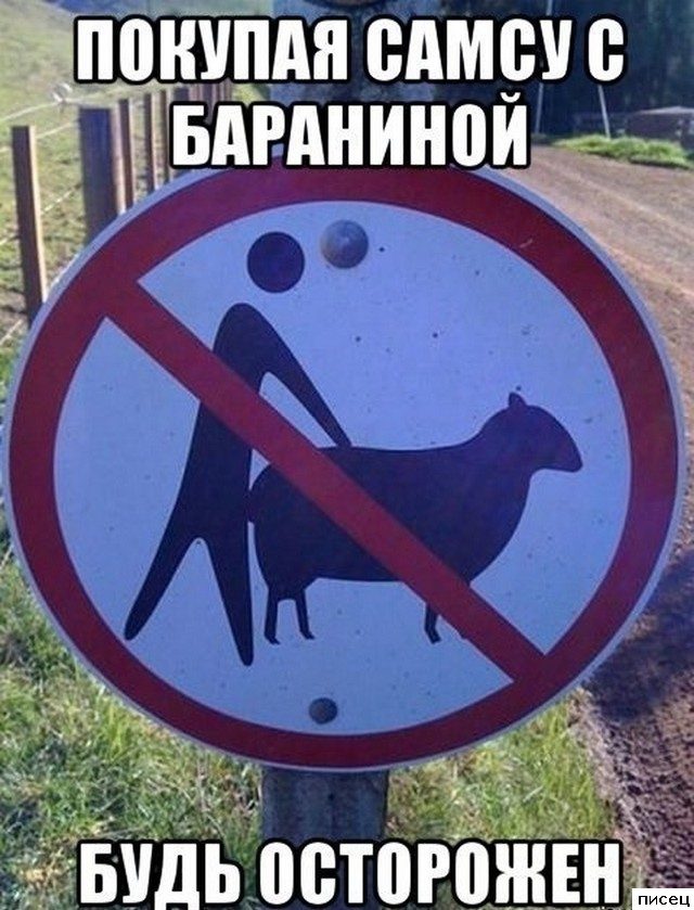 Смехотерапия Писца. Потрясающая серия!