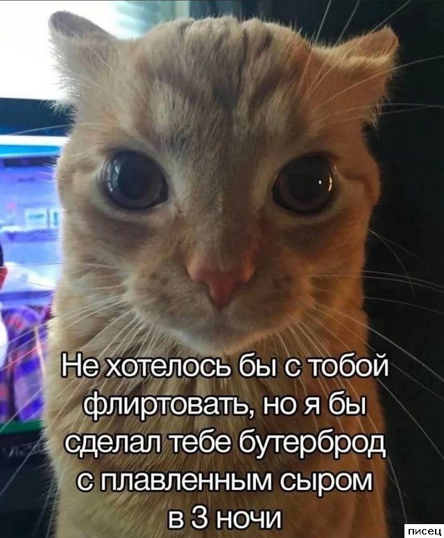 Смехотерапия Писца. Потрясающая серия!
