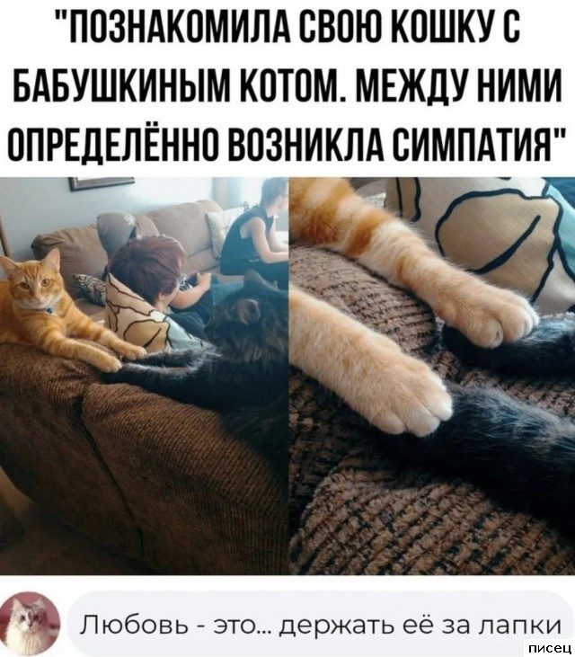 Приколы из социальных сетей. Ржака дня!