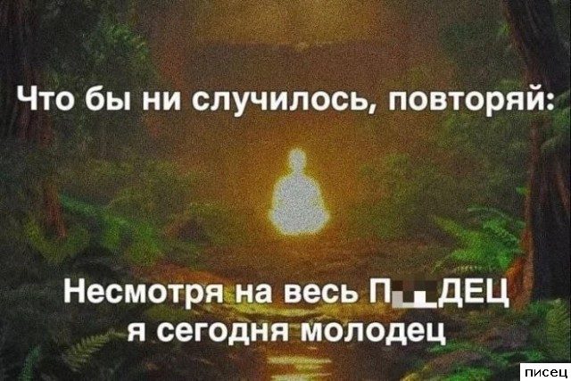Все прикольные цитаты. Жмите Лайк!